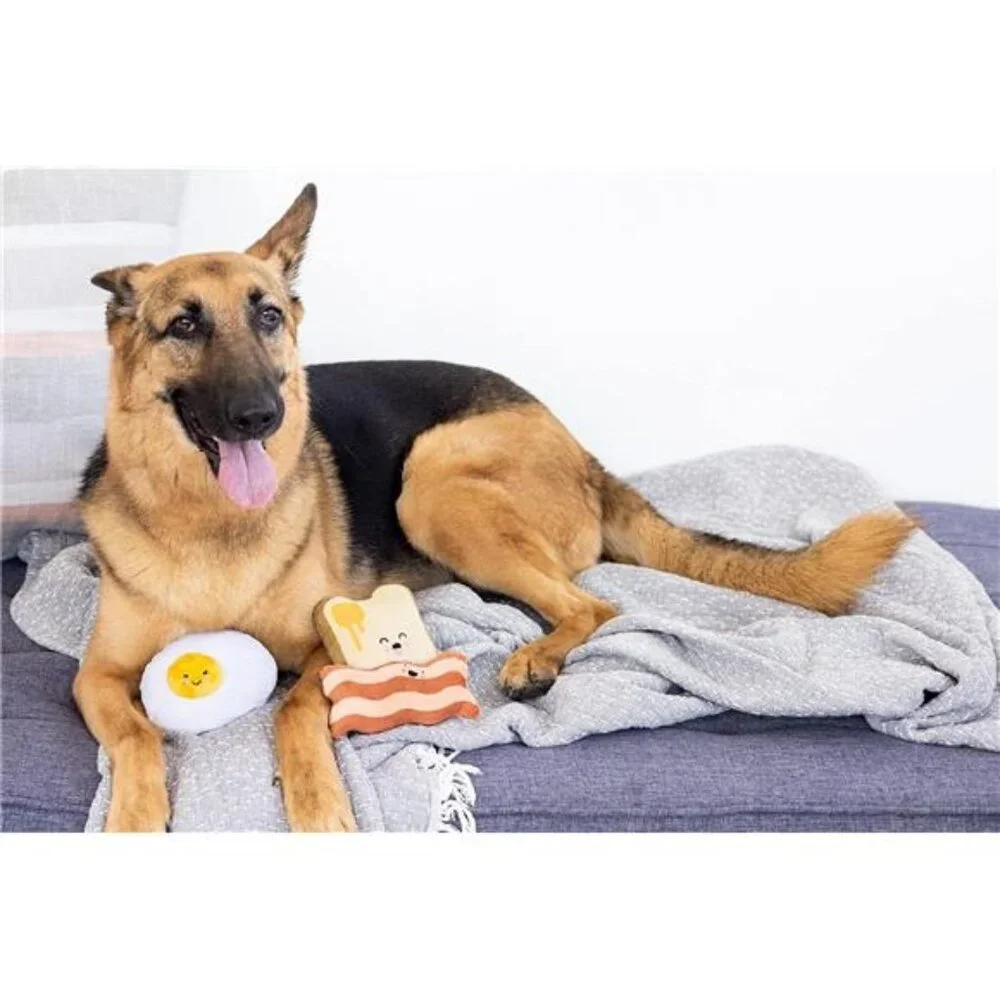 Dog Toys, Set of 3, Plush Pet Squeaker Toys, Breakfast Dog